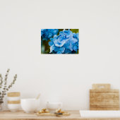 Blauwe Hortensia Poster (Keuken)