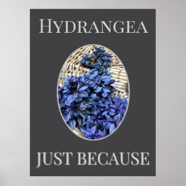 Blauwe Hortensia Poster