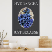 Blauwe Hortensia Poster (Keuken)