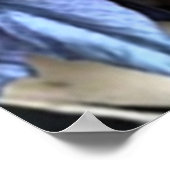 Blauwe Hortensia Poster (Hoek)