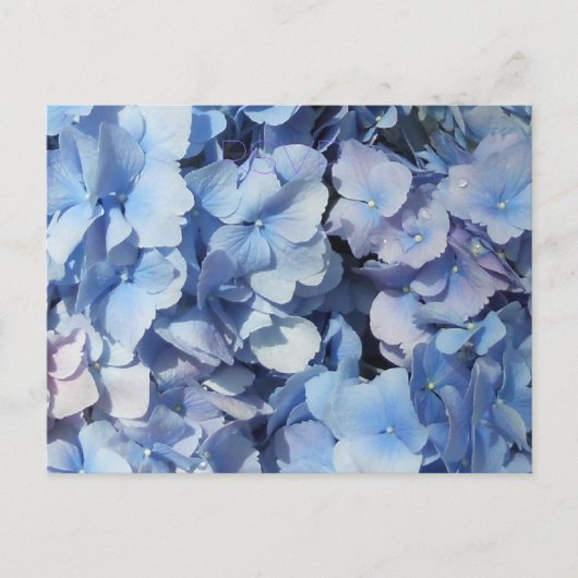 Blauwe hortensia RSVP bruiloft Uitnodiging Briefkaart (Voorkant)