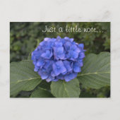  blauwe hortensia slechts een klein briefje briefkaart (Voorkant)