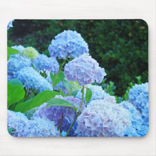 Blauwe Hortensia Tuinen muismat Bloemige Bloemen (Voorkant)