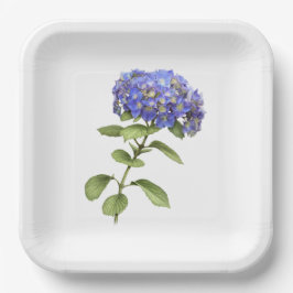 Blauwe Hortensia's Botanische Kunst Papieren Bord