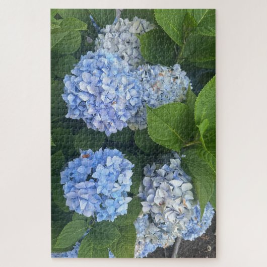 Blauwe Hortensia's, San Lorenzo Legpuzzel (Verticaal)