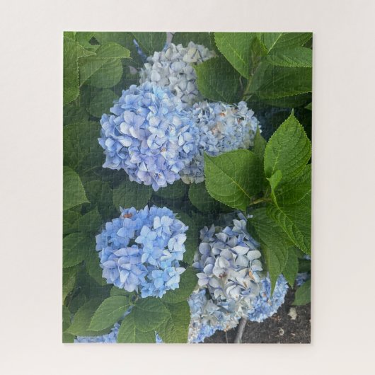 Blauwe Hortensia's, San Lorenzo Legpuzzel (Verticaal)