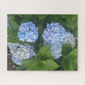 Blauwe Hortensia's, San Lorenzo Legpuzzel (Horizontaal)
