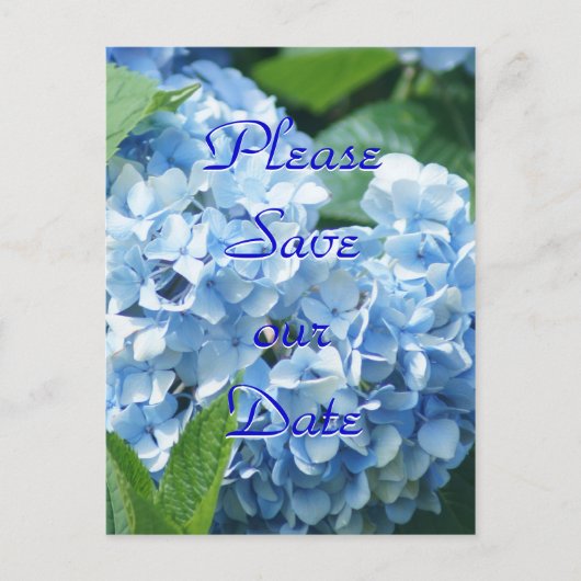 Blauwe Hortensia's Save our date ansichtkaart- aan Uitnodiging Briefkaart (Voorkant)