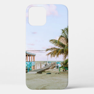 BLAUWE HOUDEN HUIS NORMAAL WATER Case-Mate iPhone CASE