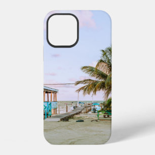 BLAUWE HOUDEN HUIS NORMAAL WATER iPhone 12 HOESJE