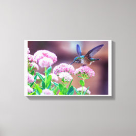 Blauwe Hummingbird Floral Stretted Canvas Afdrukke