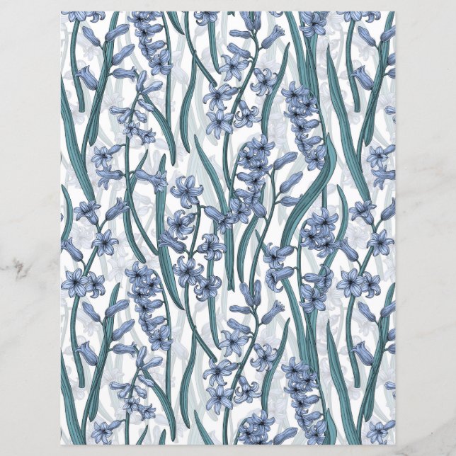 Blauwe Hyacint bloemen op wit (Voorkant)