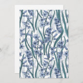 Blauwe Hyacint bloemen op wit (Voorkant / Achterkant)