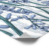 Blauwe Hyacint bloemen op wit Poster (Hoek)