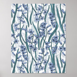 Blauwe Hyacint bloemen op wit Poster