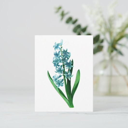 Blauwe hyacint door Pierre Joseph Redoute Briefkaart (Staand voorkant)