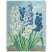 Blauwe hyacinten  botanische kunst sticker (Voorkant)