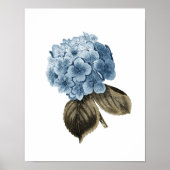 Blauwe Hydrangea Artwork #1 Botanische Wall Art Poster (Voorkant)
