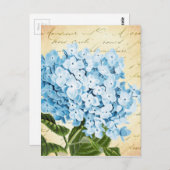 Blauwe hydrangea Bloem  Botanisch Briefkaart (Voorkant / Achterkant)