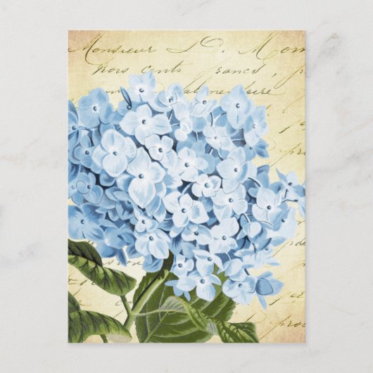 Blauwe hydrangea Bloem  Botanisch Briefkaart (Voorkant)