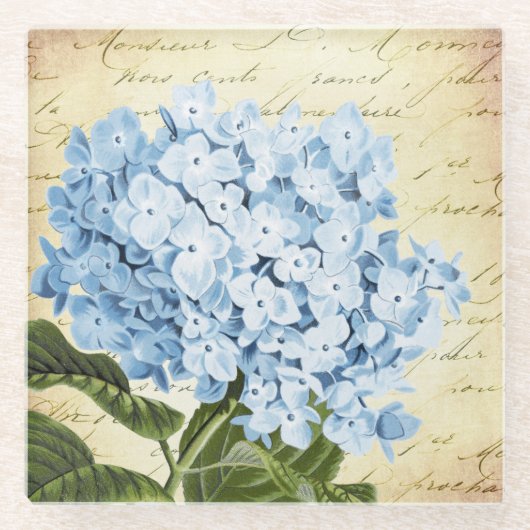 Blauwe hydrangea Bloem Botanisch Glazen Onderzetter (Voorkant)