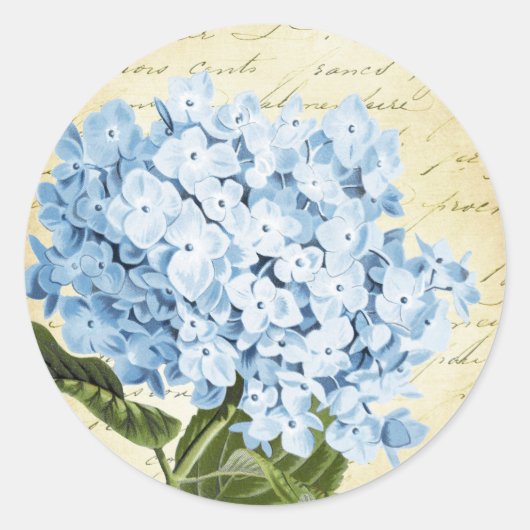 Blauwe Hydrangea Bloem  Botanisch Ronde Sticker (Voorkant)