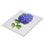 Blauwe Hydrangea Bloem Botanische Kunst Tegeltje (Zijkant)