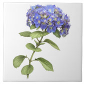 Blauwe Hydrangea Bloem Botanische Kunst Tegeltje (Voorkant)
