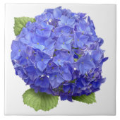 Blauwe Hydrangea Bloem Botanische Kunst Tegeltje (Voorkant)