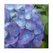 Blauwe Hydrangea Bloemblaadjes Bloemstuk Tegeltje (Voorkant)