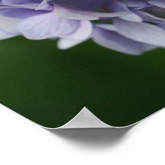 Blauwe Hydrangea bloemblaadjes Spiegel Abstract Poster (Hoek)