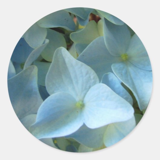 Blauwe Hydrangea Bloemen Bloemen Bloemen Foto Ronde Sticker (Voorkant)
