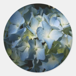 Blauwe Hydrangea Bloemen Bloemen Bloemen Foto Ronde Sticker