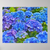 Blauwe Hydrangea Bloemen Bloemen Bloemen Waterverf Poster (Voorkant)