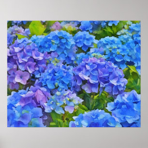 Blauwe Hydrangea Bloemen Bloemen Bloemen Waterverf Poster
