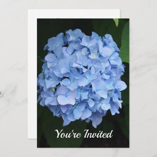  Blauwe Hydrangea Bloemen Foto Verjaardag Kaart (Voorkant / Achterkant)