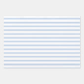 Blauwe Hydrangea Bloom Floral Set Inpakpapier Vel (Voorkant 2)