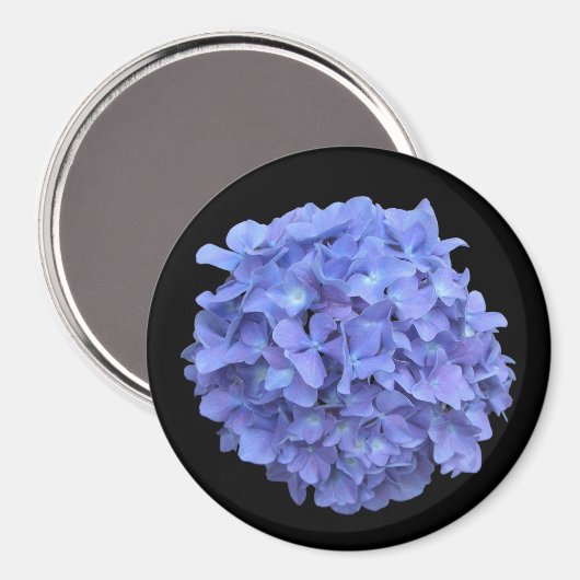 Blauwe Hydrangea Bloom Magnet (Voorkant / Achterkant)