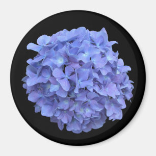 Blauwe Hydrangea Bloom Magnet