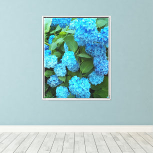 Blauwe hydrangea Blooms Floral Canvas Afdruk