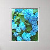 Blauwe hydrangea Blooms Floral Canvas Afdruk (Voorkant)