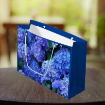 Blauwe hydrangea Blooms Floral