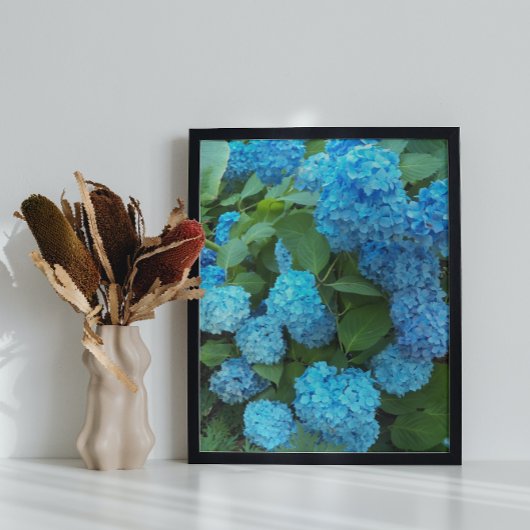 Blauwe hydrangea Blooms Floral Perfect Poster