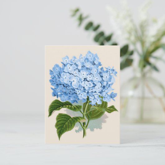 Blauwe hydrangea Botanische afdruk Briefkaart (Staand voorkant)