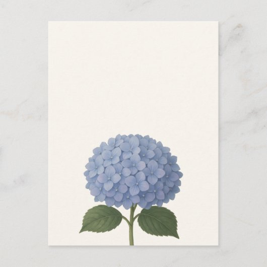 Blauwe Hydrangea Botanische Illustratie Design Briefkaart (Voorkant)