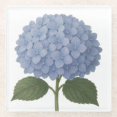 Blauwe Hydrangea Botanische Illustratie Design Glazen Onderzetter (Voorkant)