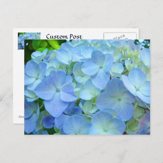 Blauwe hydrangea briefkaarten Floral postkaarten (Voorkant / Achterkant)