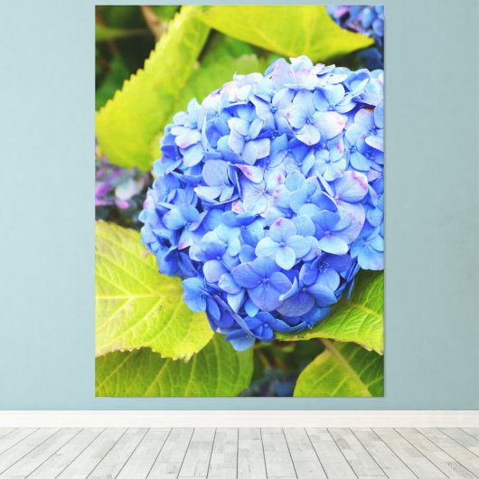 Blauwe hydrangea canvas afdruk (Insitu (Houten vloer))