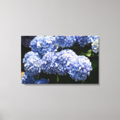 Blauwe Hydrangea Canvas Print (Voorkant)