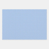 Blauwe Hydrangea Gingham en Polka Dot Patroon Inpakpapier Vel (Voorkant 3)
